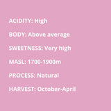 high acidity, above average body, very high sweetness, 1700-1900 masl, natural process, October to April harvest
