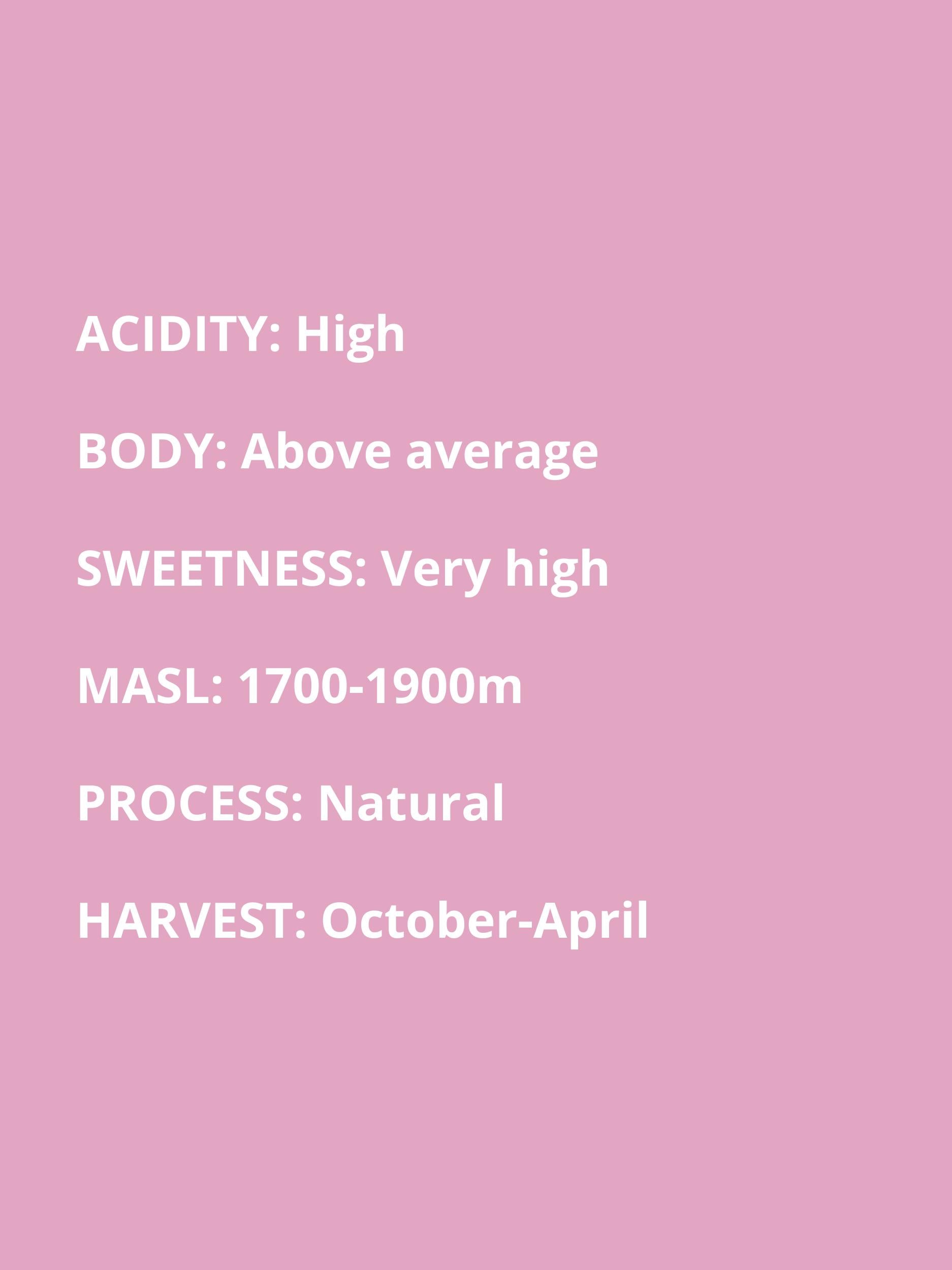 high acidity, above average body, very high sweetness, 1700-1900 masl, natural process, October to April harvest