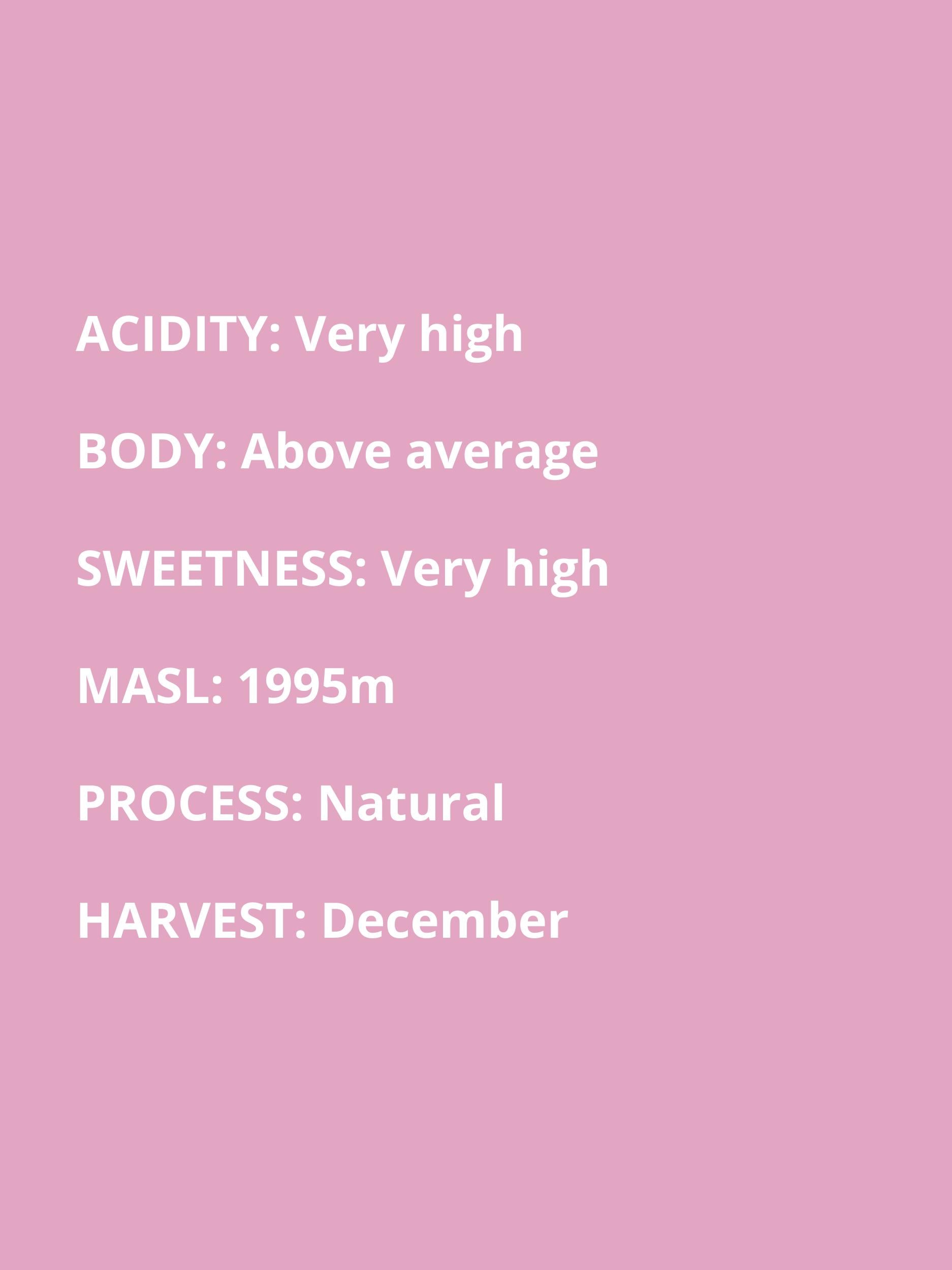 very high acidity, above average body, very high sweetness, 1995 masl, natural process, December harvest