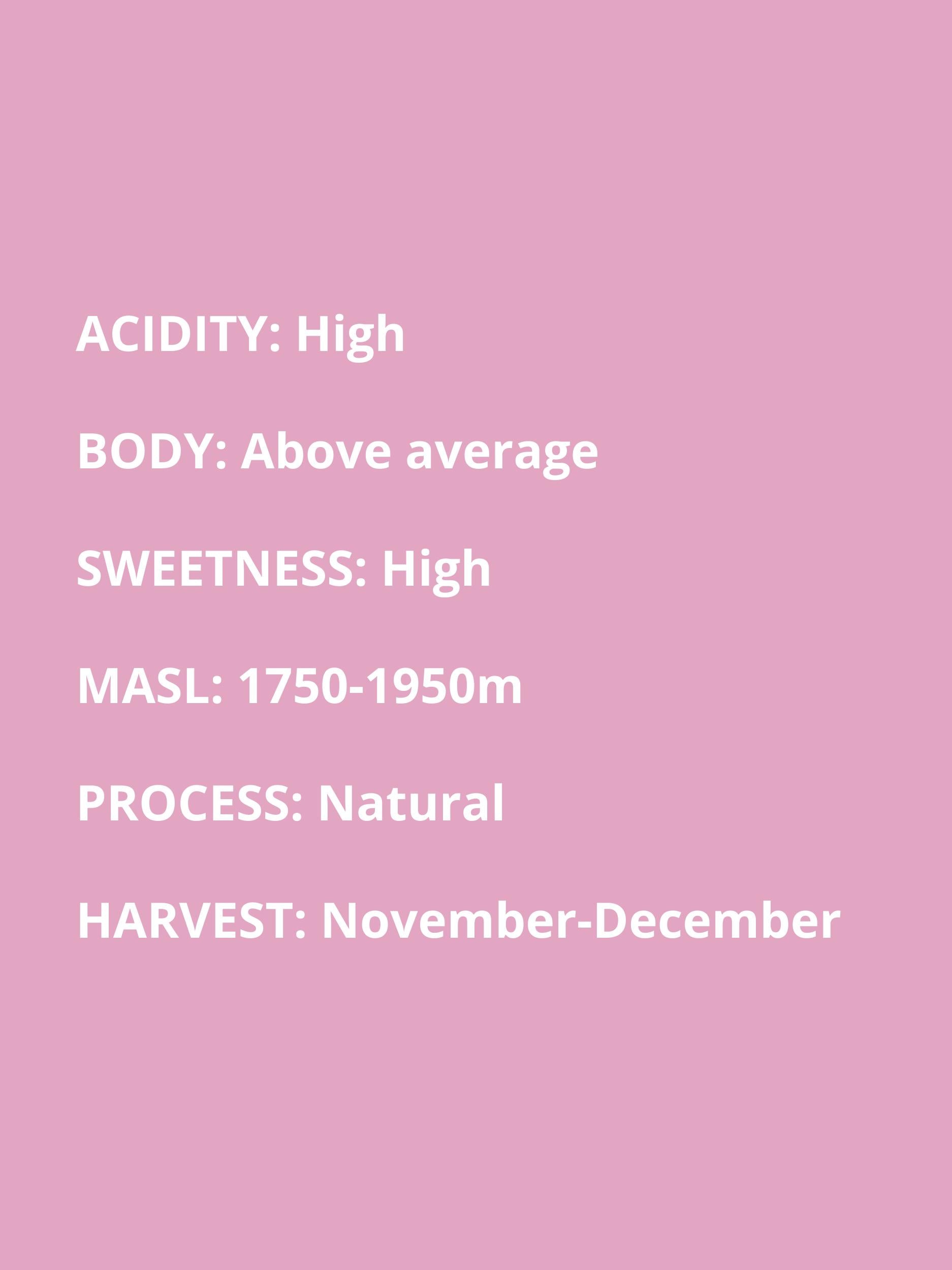 high acidity, above average body, high sweetness, 1750-1950 masl, natural process, November to December harvest 
