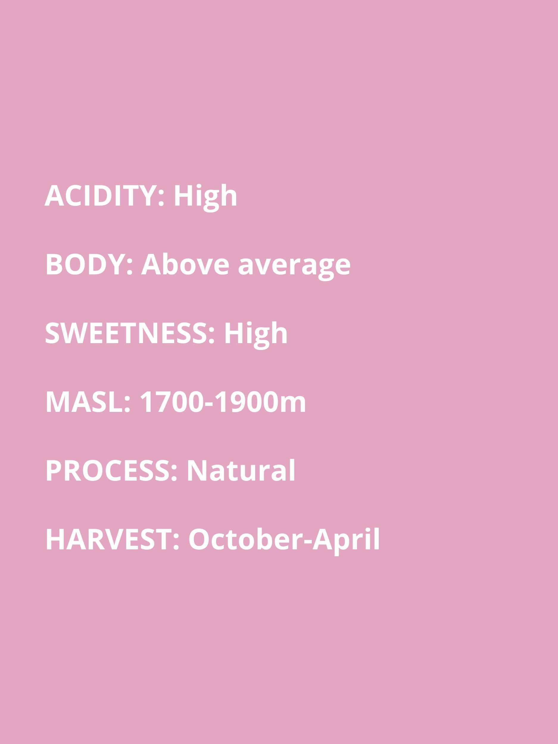 high acidity, above average body, very high sweetness, 1700-1900 masl, natural process, October to April harvest