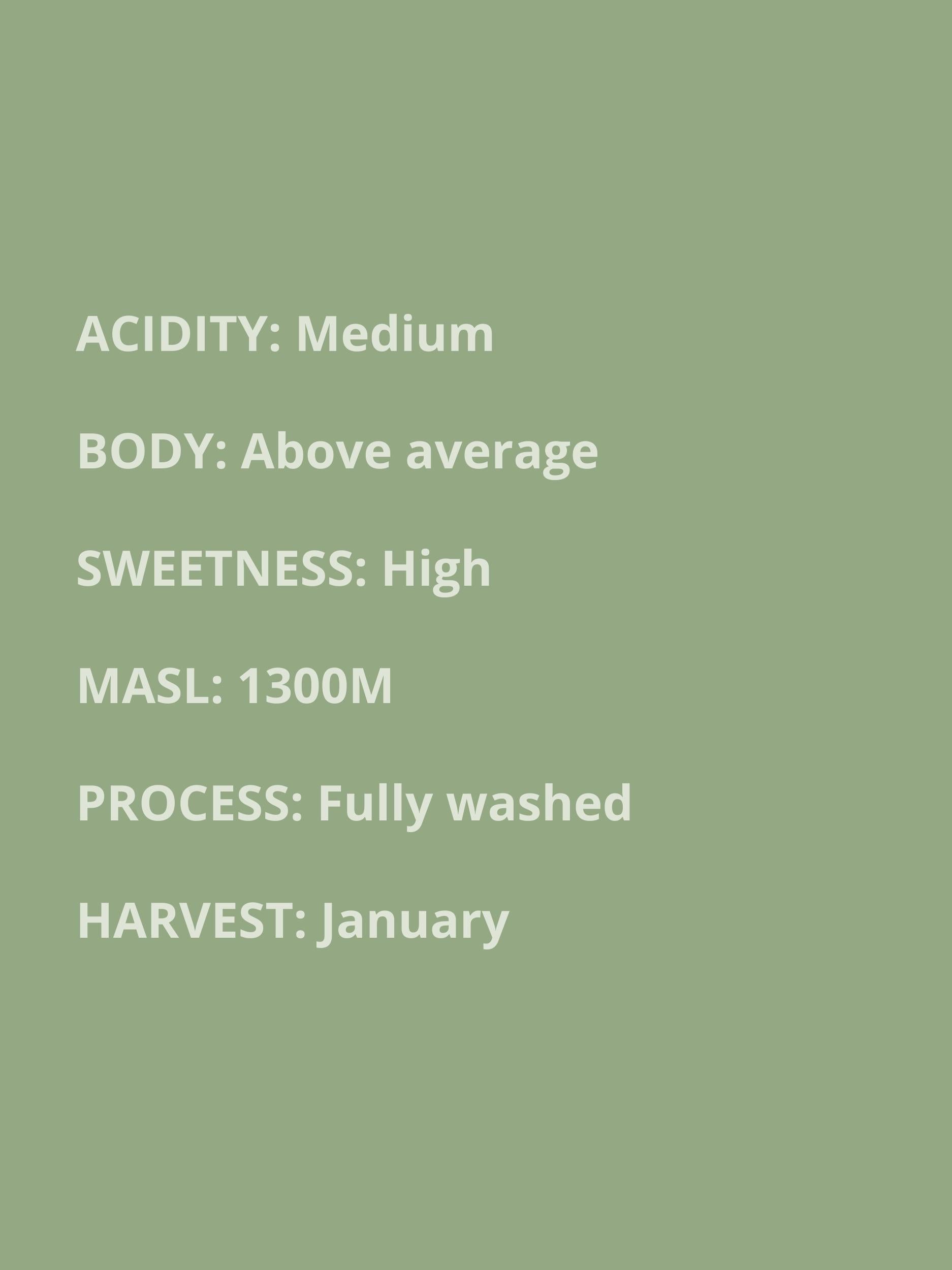 medium acidity, above average body, high sweetness, 1300 masl, fully washed process, January harvest