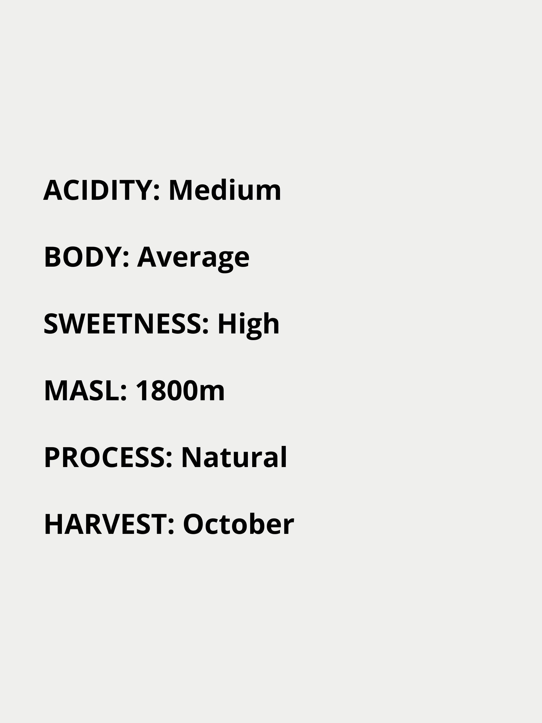 medium acidity, average body, high sweetness, 1800 masl, natural process, October harvest